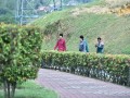 Tn dsc 4579